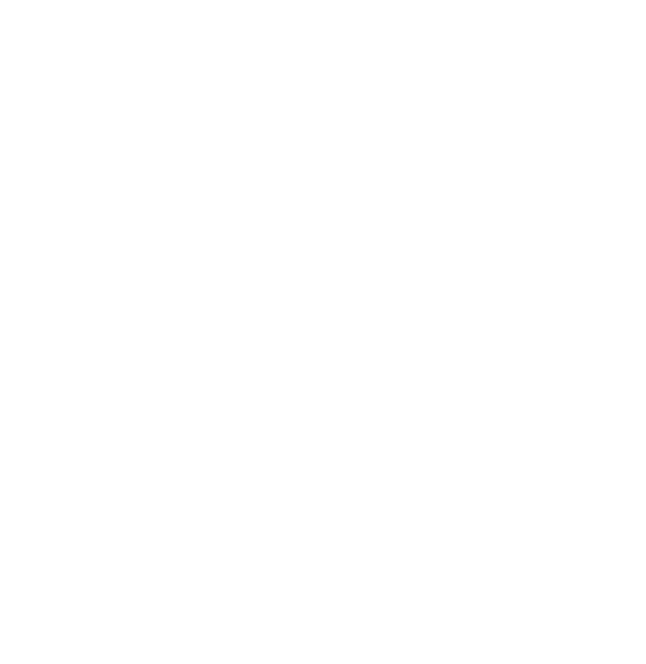 The Foley Fig Company logo
